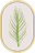 Aedelma
